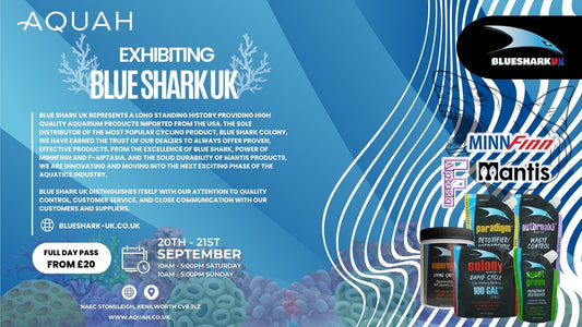 Blue Shark UK