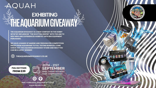 The Aquarium Giveaway