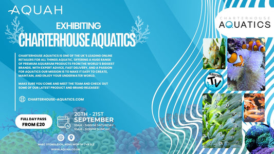 Charterhouse Aquatics