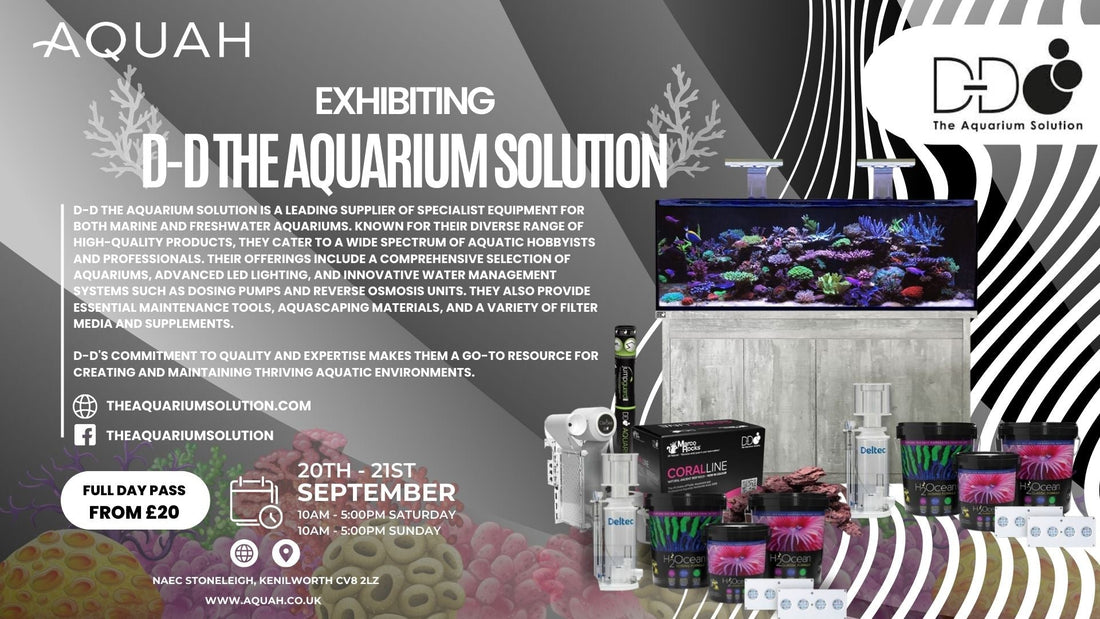 D-D The Aquarium Solution