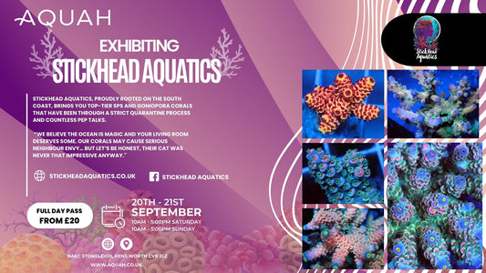 Stickhead Aquatics