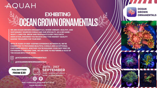 Ocean Grown Ornamentals