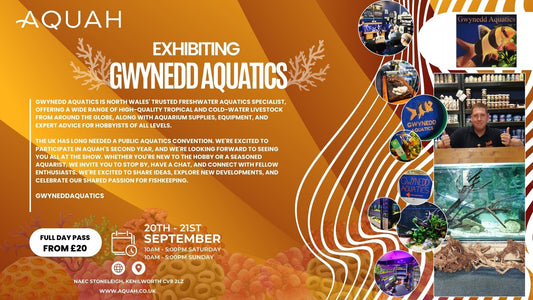 Gwynedd Aquatics
