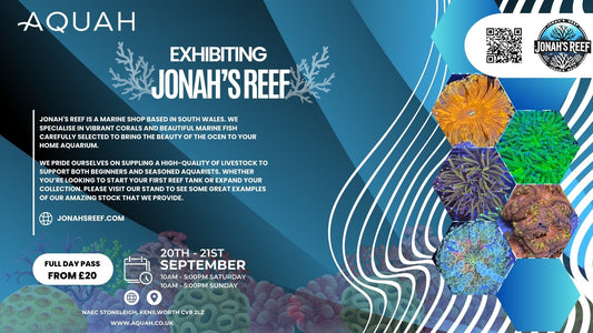 Jonah’s Reef