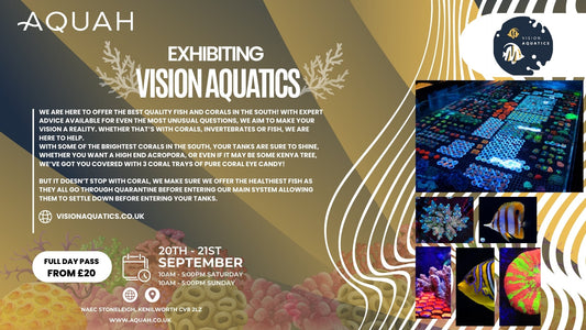 Vision Aquatics