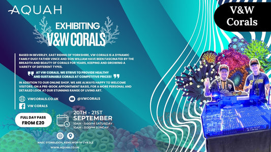 V&W Corals