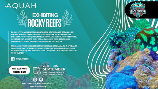Rocky Reefs