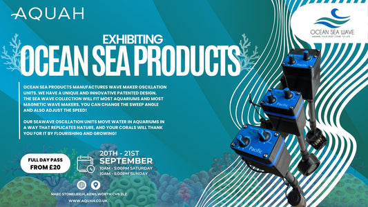 Ocean Sea Products