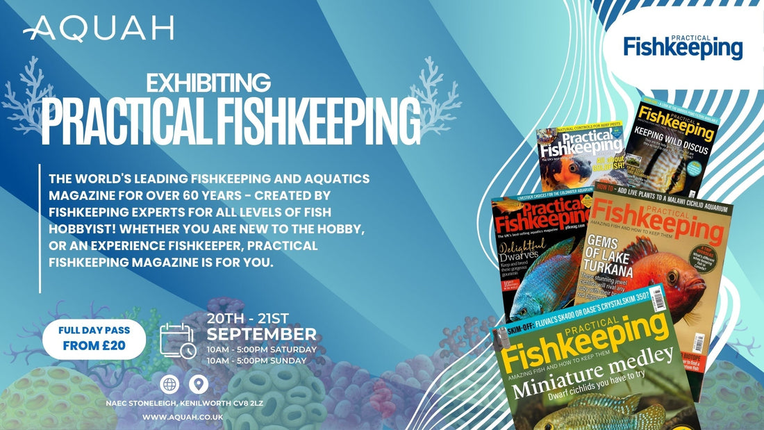 Practical Fishkeeping
