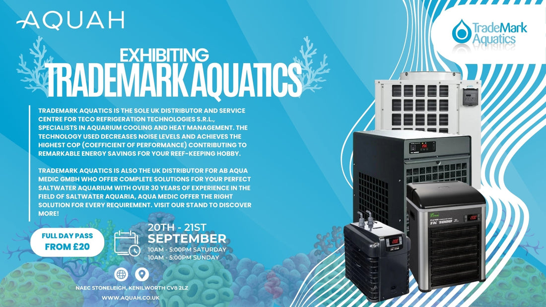 TradeMark Aquatics