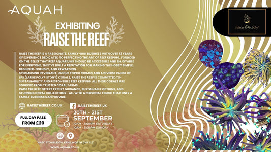 Raise The Reef