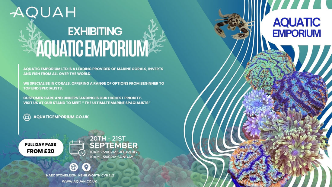 Aquatic Emporium