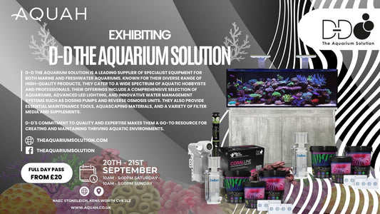 D-D The Aquarium Solution