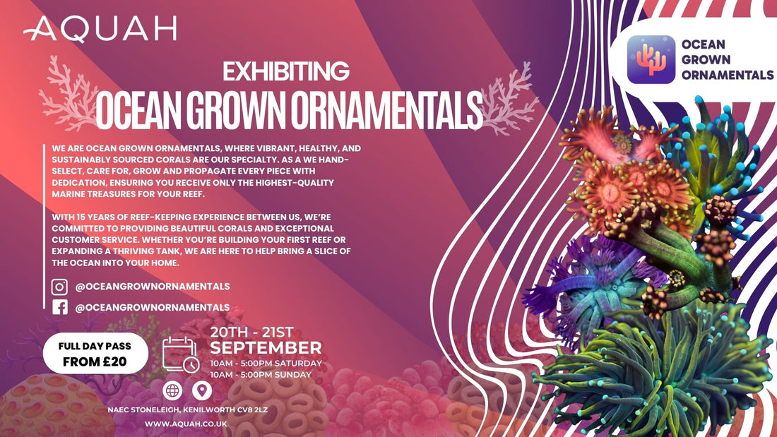 Ocean Grown Ornamentals