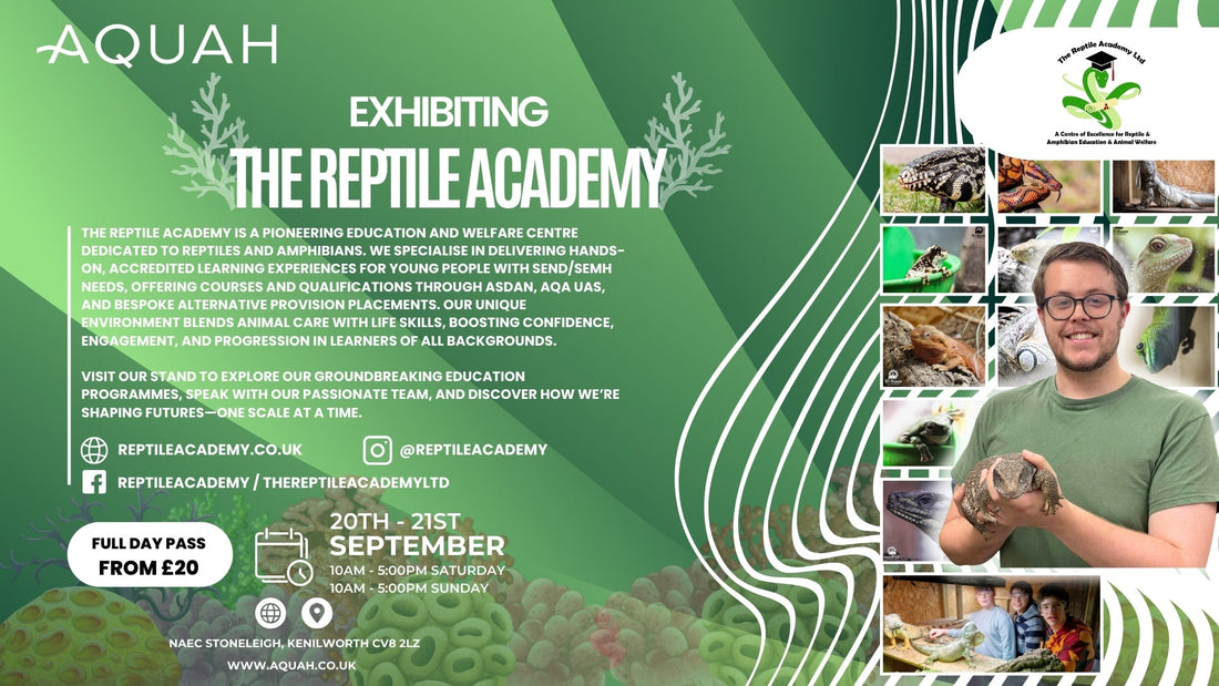 The Reptile Academy