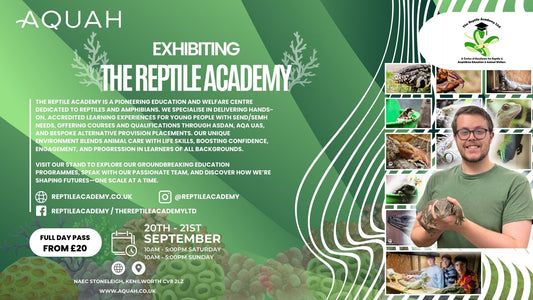 The Reptile Academy
