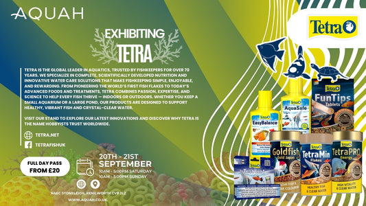 Tetra