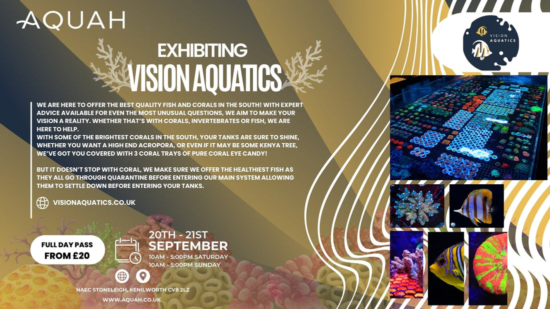 Vision Aquatics