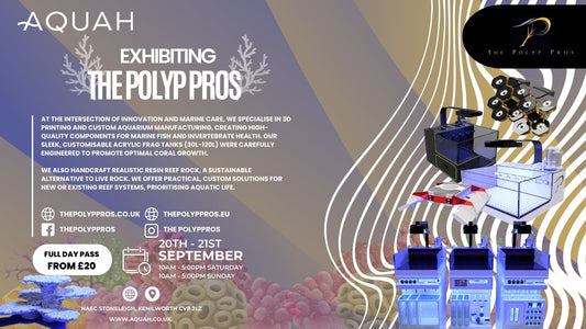 The Polyp Pros