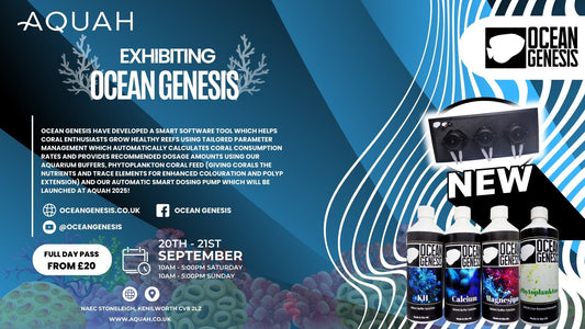Ocean Genesis