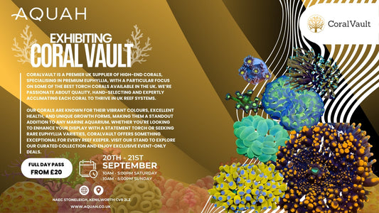 Coral Vault