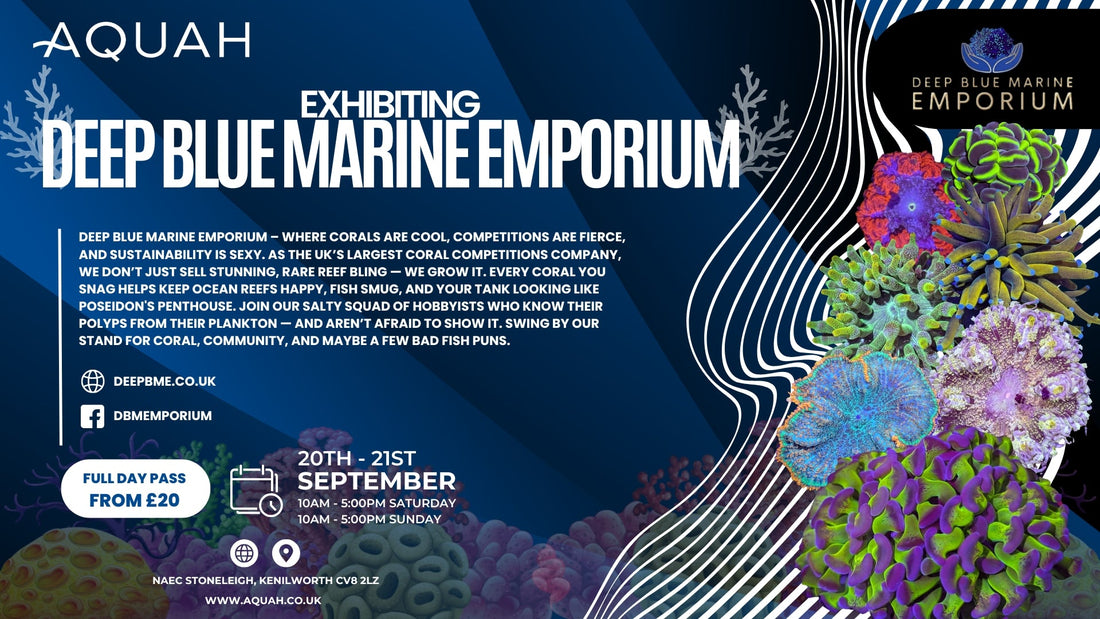 Deep Blue Marine Emporium