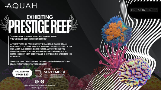 Prestige Reef