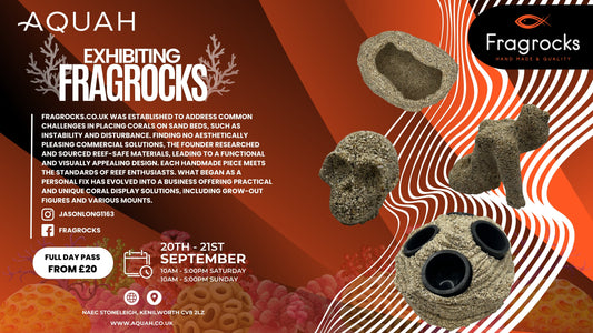 FragRocks