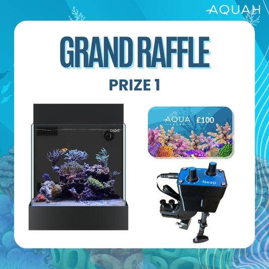 AQUAH 2025 Grand Raffle Tickets - Prize 1