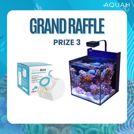 AQUAH 2025 Grand Raffle Tickets - Prize 3