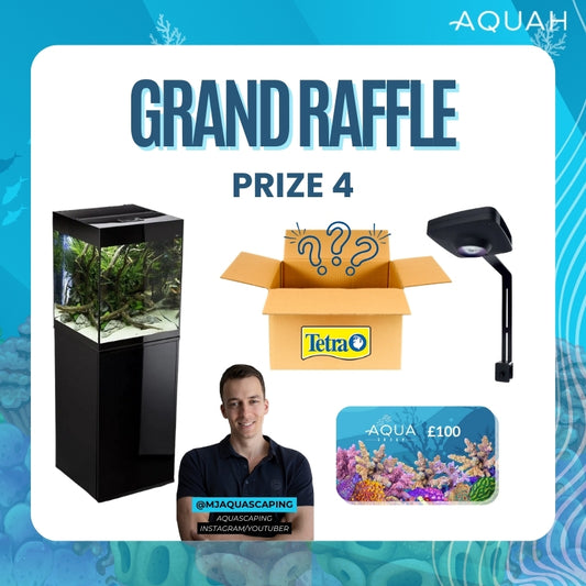 AQUAH 2025 Grand Raffle Tickets - Prize 4