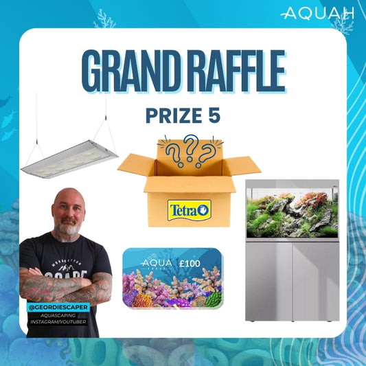 AQUAH 2025 Grand Raffle Tickets - Prize 5