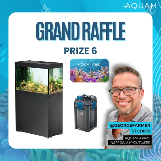 AQUAH 2025 Grand Raffle Tickets - Prize 6