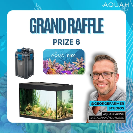 AQUAH 2025 Grand Raffle Tickets - Prize 6